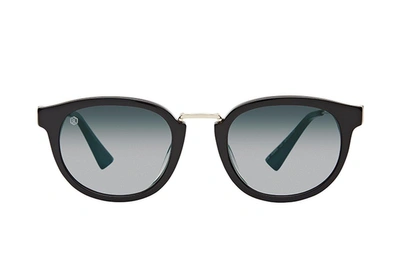 Shop Taylor Morris Eyewear Falcon