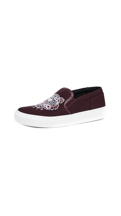 Shop Kenzo K-state Tiger Sneakers In Bordeaux