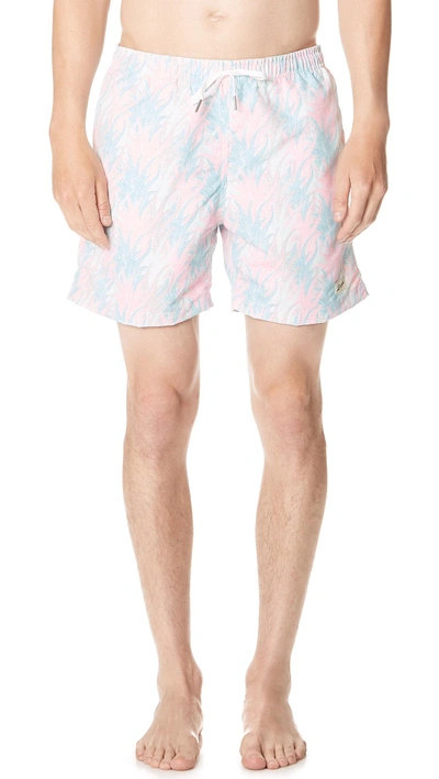 Shop Bather Multi Coral Swim Trunks In Pink