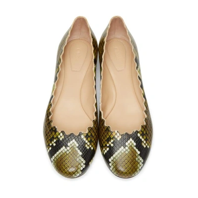 Shop Chloé Chloe Brown Python Lauren Ballerina Flats In 260 Brown