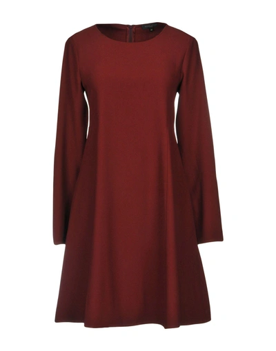 Shop Antonelli Short Dress In Maroon