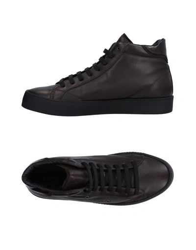 Shop John Galliano Sneakers In Dark Brown