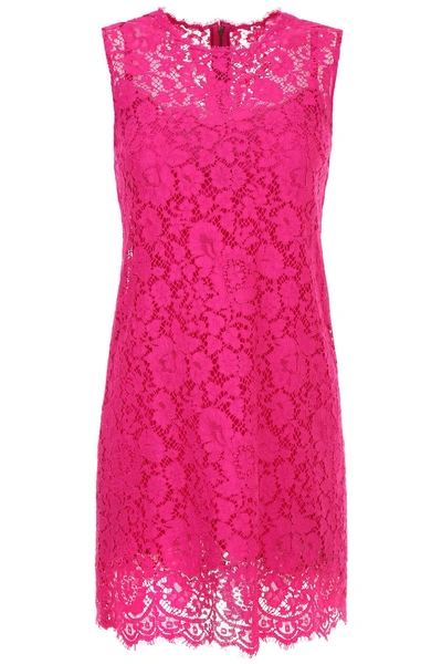 Shop Dolce & Gabbana Lace Dress In Rosa Shocking|fuxia