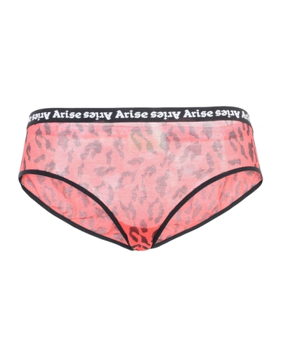 Shop Aries Boyshorts In Red