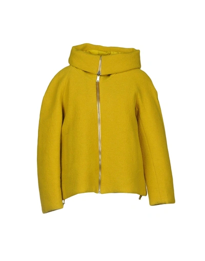 Shop Add Down Jackets In Yellow