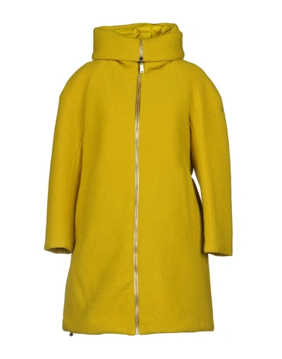 Shop Add Down Jackets In Yellow