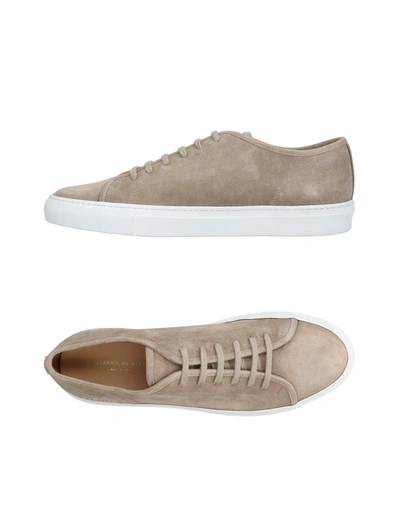 Shop Common Projects Sneakers In Sand