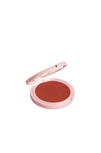 Jillian Dempsey Cheek Tint Blush In Sunny