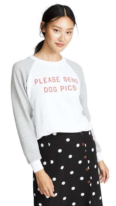 Shop Wildfox Dog Pics Sweatshirt In Clean White/heather