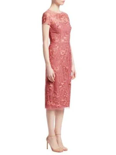 Shop David Meister Lace Illusion Sheath Dress In Pink