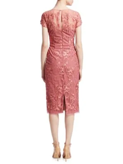 Shop David Meister Lace Illusion Sheath Dress In Pink