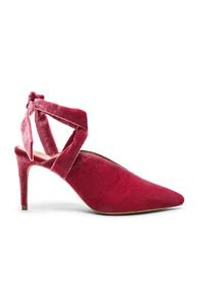 Shop Alexandre Birman Velvet & Suede Sally Ankle Tie Pumps In Dusty Rose