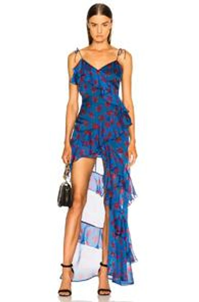 Shop Raquel Diniz Stella Dress In Blue Print