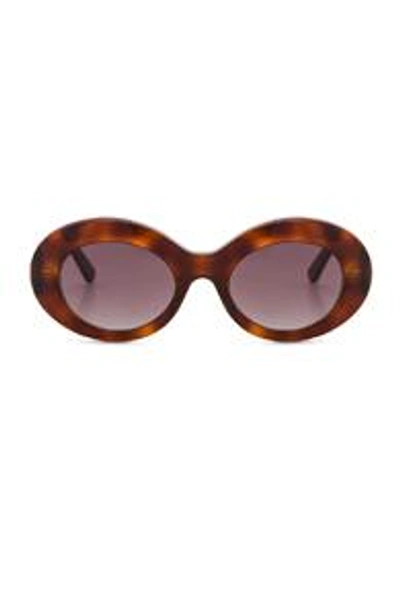 Shop Balenciaga Oval Sunglasses In Blonde Havana & Burgundy