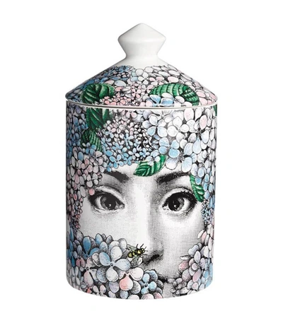 Shop Fornasetti Ortensia Candle In N/a