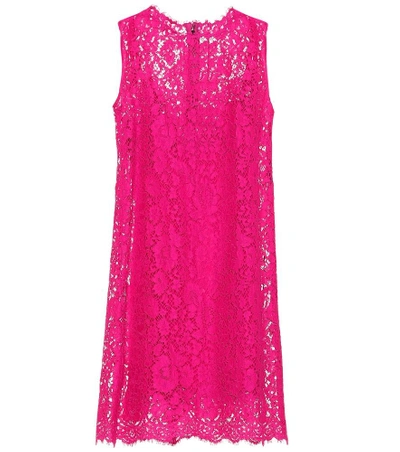 Shop Dolce & Gabbana Cotton-blend Lace Dress In Pink