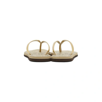 Shop Charlotte Olympia Beige And Gold Havaianas Edition Kitty Sandals In 8860 Gold