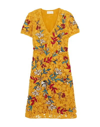 Shop Sachin & Babi Knee-length Dress In Yellow