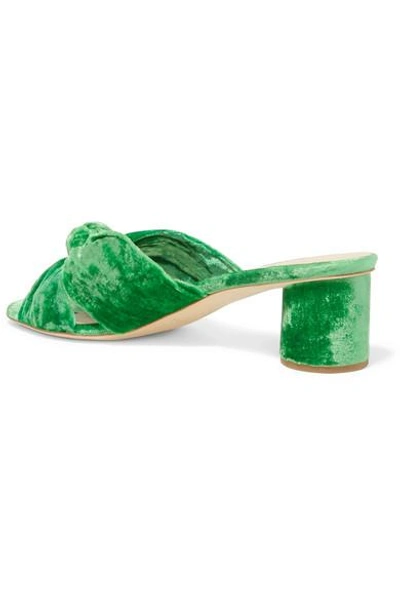 Shop Loeffler Randall Celeste Knotted Velvet Mules In Green