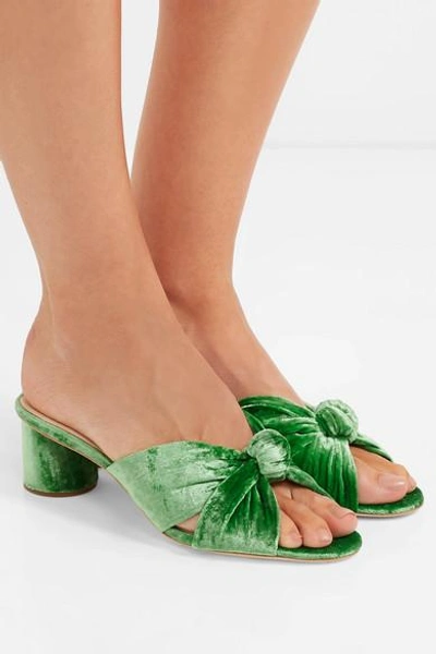 Shop Loeffler Randall Celeste Knotted Velvet Mules In Green