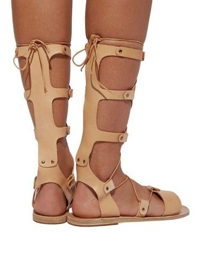 Shop Ancient Greek Sandals Sandals In Brown