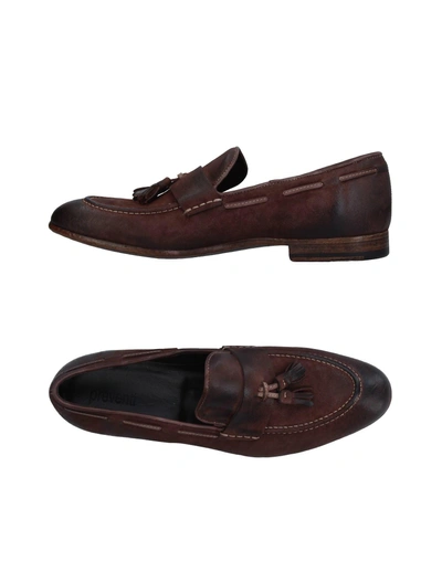 Shop Preventi Loafers In Dark Brown