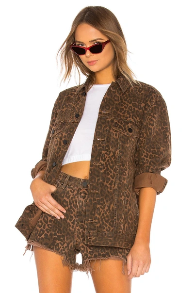 Shop Alexander Wang Daze Leopard Jacket In Tan Leopard Print