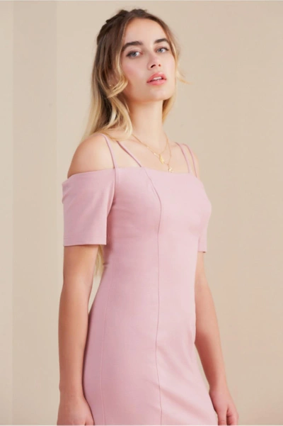 Shop Finders Keepers Palms Dress In Mauve