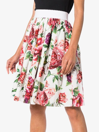 Shop Dolce & Gabbana High Waisted Peony Print Cotton Skirt In Pink