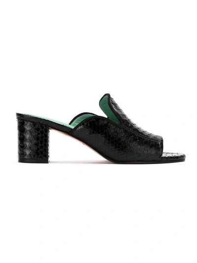 Shop Blue Bird Shoes Python Skin Mules In Black