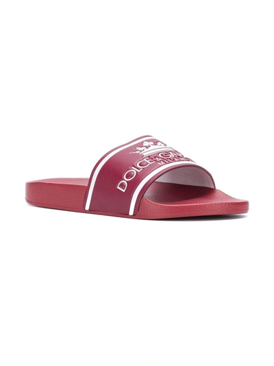 Shop Dolce & Gabbana Crown Logo Slides - Red