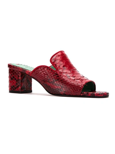 Shop Blue Bird Shoes Python Skin Mules In Red