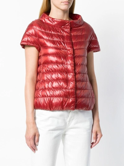 Shop Herno Short Sleeve Puffer Jacket - Red
