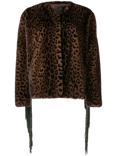 Shop Liska Leopard Printed Jacket - Brown