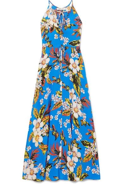 Shop Diane Von Furstenberg Floral-print Silk-jersey Maxi Dress In Blue
