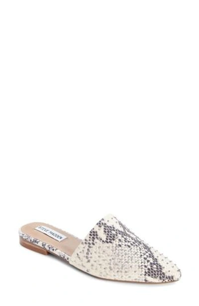 Shop Steve Madden Trace Studded Mule In Natural Snake Print Stud