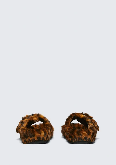 Shop Alexander Wang Bee Sandal In Leopard