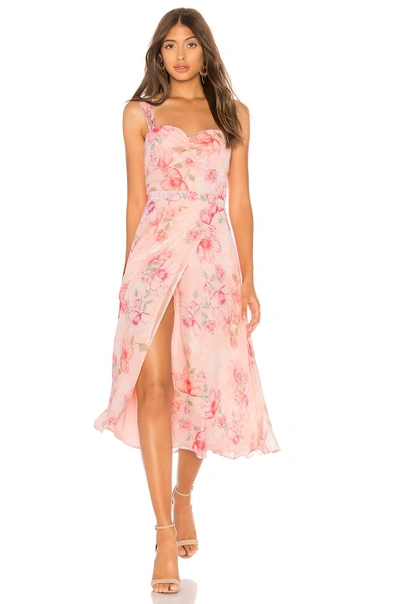 Shop Yumi Kim Ariana Dress In Pink