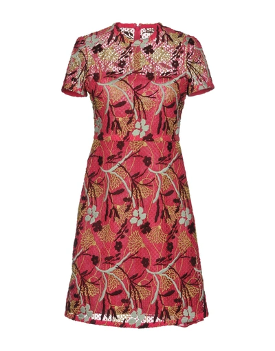Shop Valentino Garavani Woman Short Dress Fuchsia Size 2 Cotton, Polyester, Viscose, Metallic Fiber, Silk In Pink
