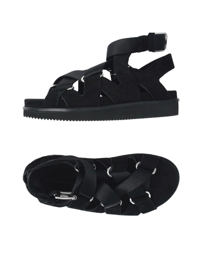 Shop Alexander Wang Sandals In Black