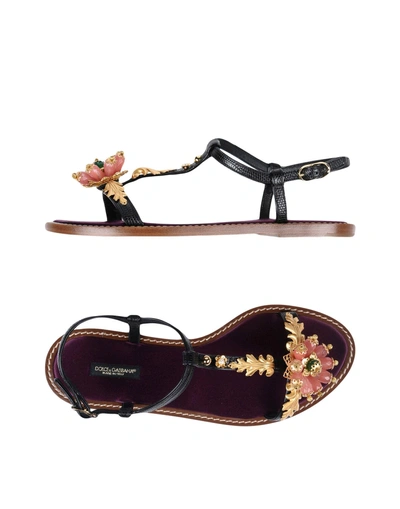 Shop Dolce & Gabbana Woman Sandals Black Size 7 Calfskin