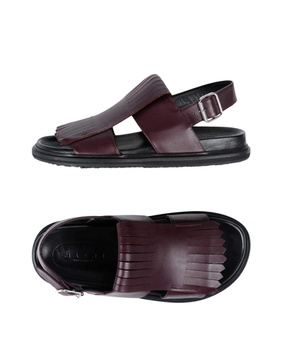 Shop Marni Sandals In Deep Purple