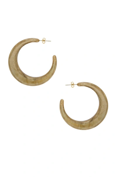 Shop Shashi Tortoise Hoop Earrings In Brown