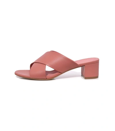 Shop Mansur Gavriel Blush Crossover Sandal In Pink