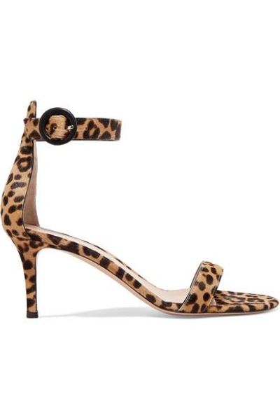 Shop Gianvito Rossi Portofino 70 Leopard-print Calf Hair Sandals In Leopard Print
