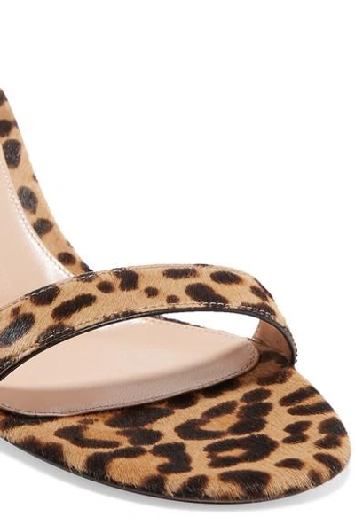 Shop Gianvito Rossi Portofino 70 Leopard-print Calf Hair Sandals In Leopard Print