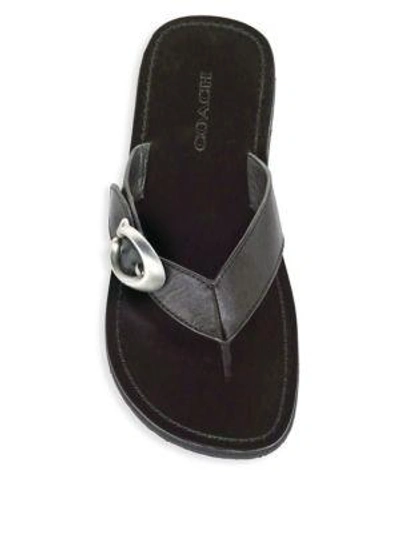 Shop Coach Buckle Leather Sandals In Black