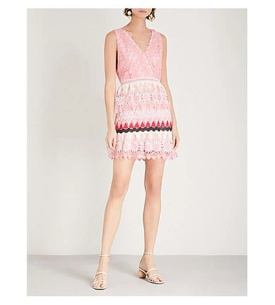 Shop Self-portrait Striped Floral Guipure-lace Dress In Pink