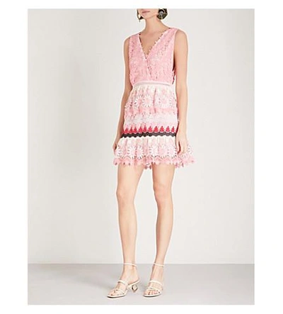 Shop Self-portrait Striped Floral Guipure-lace Dress In Pink