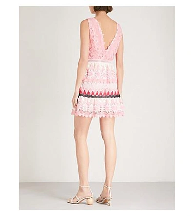 Shop Self-portrait Striped Floral Guipure-lace Dress In Pink